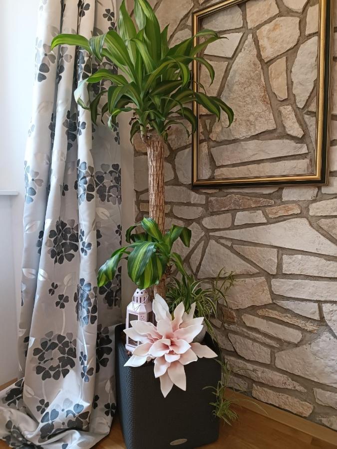 Apartment Jmj Apartmaji Piran